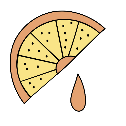 citrus illustrated icon